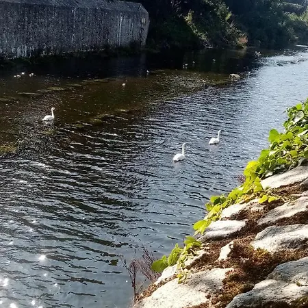 Dublin South / Bray, Brilliant Location!! 브레이