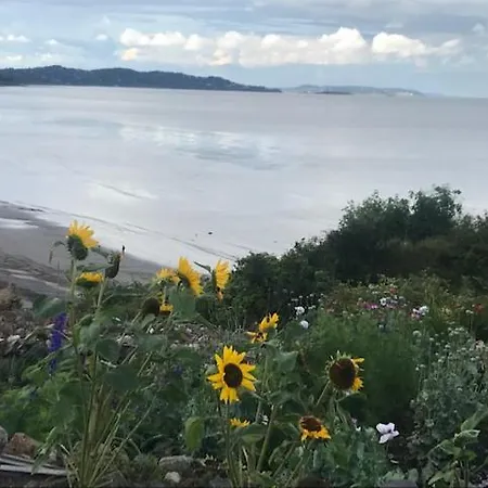 Dublin South / Bray, Brilliant Location!! 아파트 *
